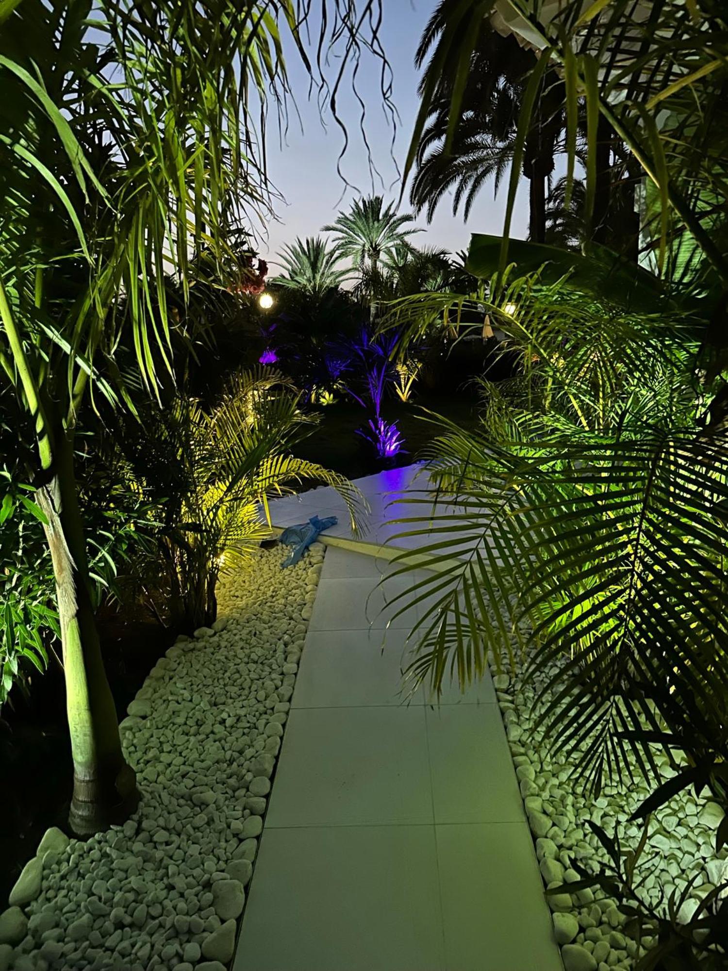 Ferienhaus Sun Club P65 Premium